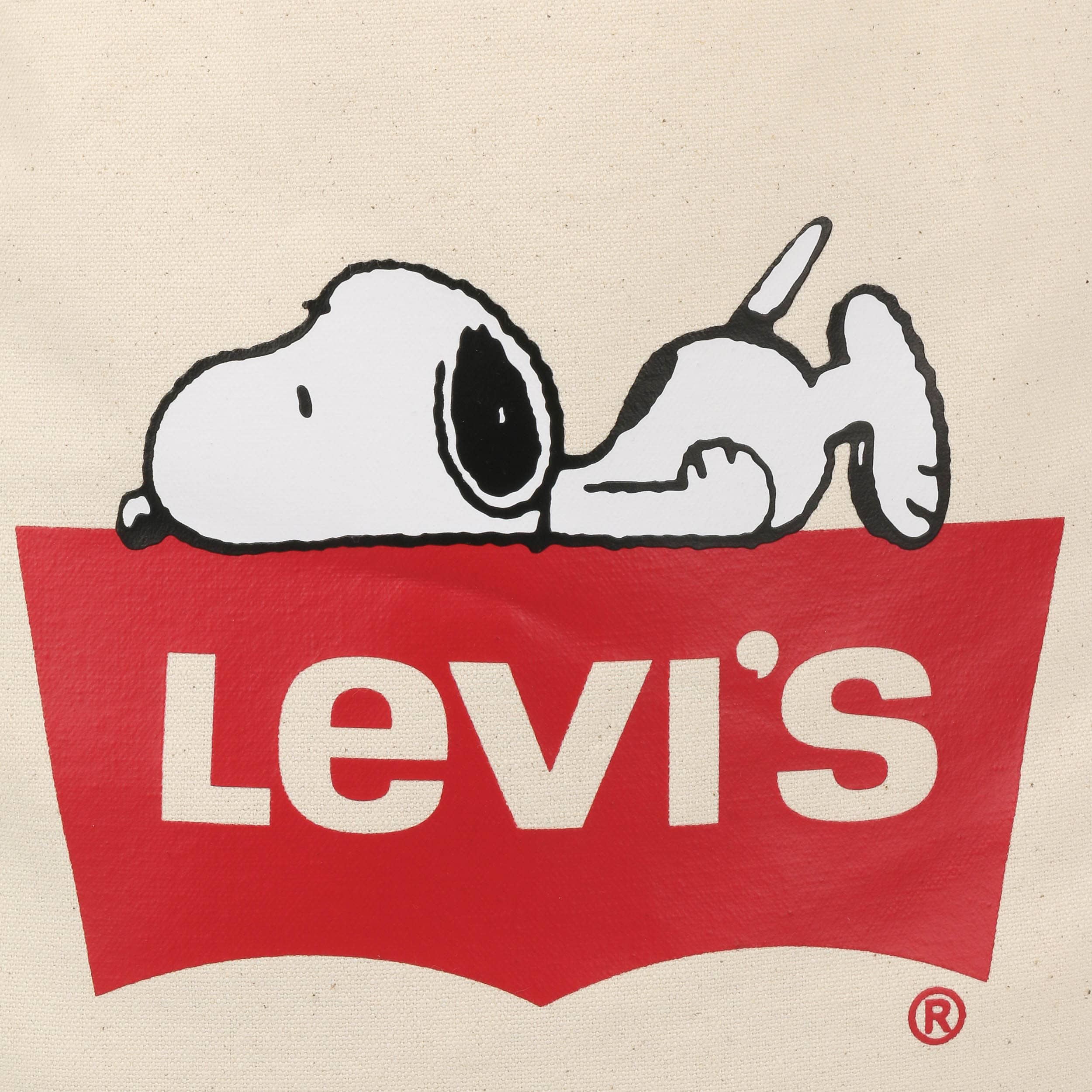 Modello Di Calendario Per Il Nuovo Anno 2025 Stampabile In Colore Bianco Verde 392965732 - Foto 10