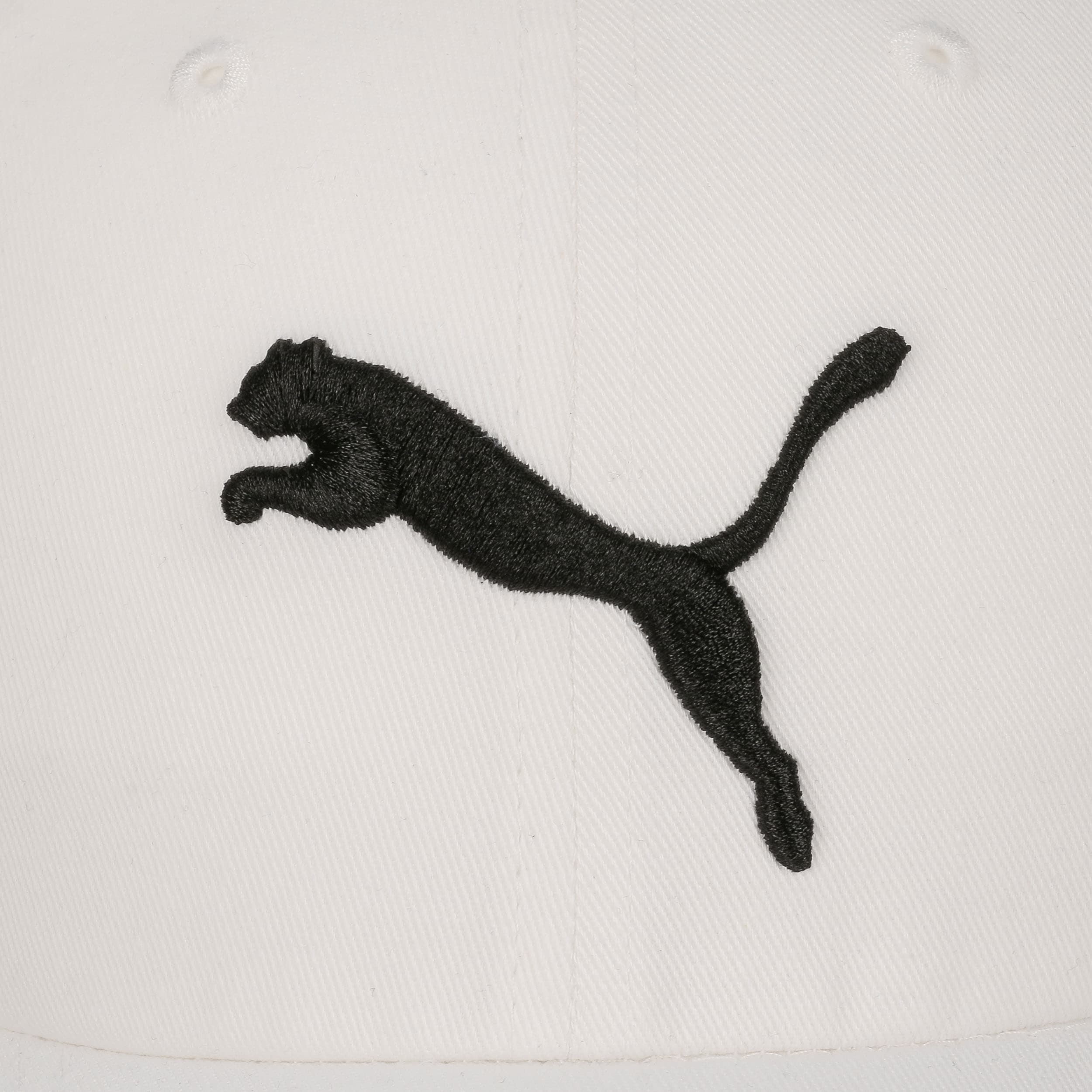 marchio puma marchio puma