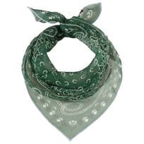 Foulard di Seta Paisley by Fraas - &euro; 39,95